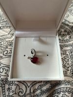 Pandora Charm Sachsen-Anhalt - Bördeland Vorschau