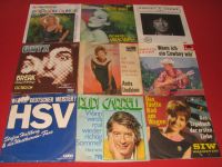 Schallplatten Singles Schlager  NDW Oldies 70er 80er Flensburg - Fruerlund Vorschau