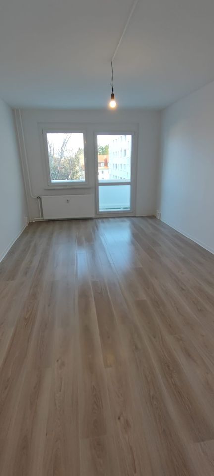 !!Neuer Eigentümer!!  Frisch Saniert / EBK / barrierefrei / Fahrstuhl / Südbalkon in Freiberg