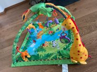 Fisher Price Spielbogen Dschungel Krabbeldecke Hessen - Karben Vorschau