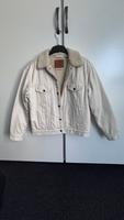 Damenjacke / Teddyjacke / Levi‘s / beige / Größe M Niedersachsen - Rehden Vorschau