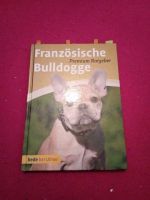 Französische Bulldogge buch Brandenburg - Bad Wilsnack Vorschau