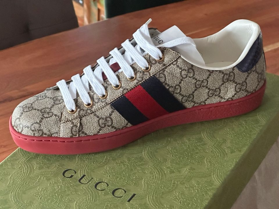 Gucci Ace Sneaker GG Supreme Gr.41,5 NEU Ungetragen OVP in Osterode am Harz