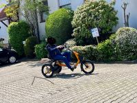 Dreirad E Bike Baden-Württemberg - Bad Waldsee Vorschau