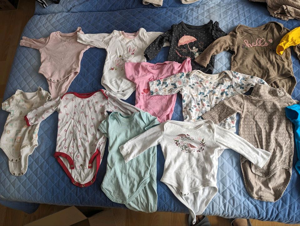 Kleidung Baby Mädchen 0-6 Monaten in Nienburg (Weser)