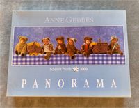 Anne Geddes Panorama 1000 Teile  Schmidt Puzzle Hessen - Künzell Vorschau