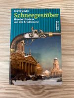 Frank Goyke Schneegestöber Neu Theodor Fontane Berlin Krimi Bad Doberan - Landkreis - Sanitz Vorschau