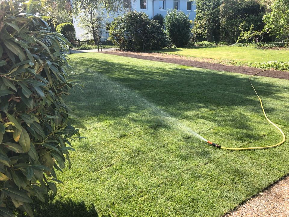 Rollrasen Verlegen, Automatische Bewässerung, Smart Garten! in Frankfurt am Main