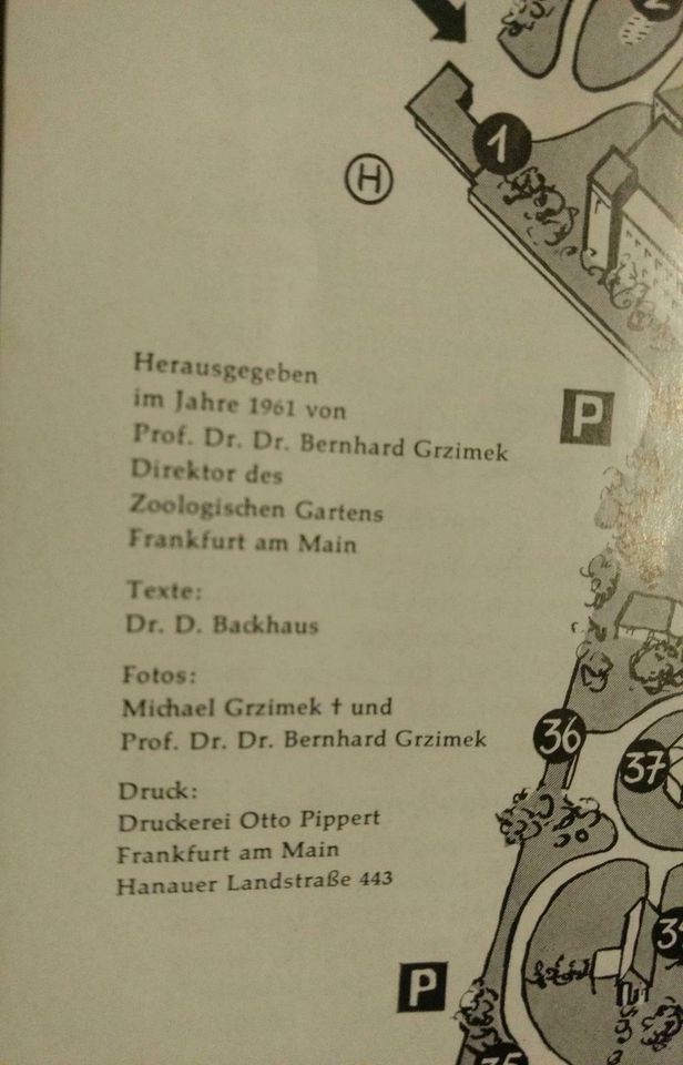 Antiquarisches Heft Tiere Zoo Frankfurt (Prof. Grzimek) Ausg.1961 in Mühlacker