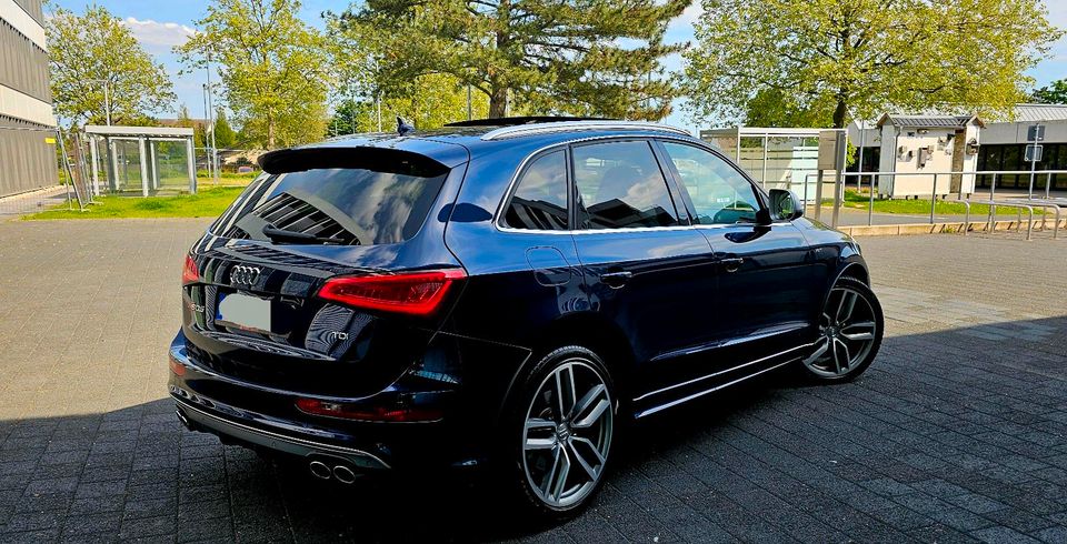 Audi SQ5 *Pano*ACC*Key*B&O*21*V8 Sound*Standheizung*TOP in Euskirchen