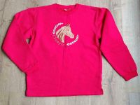 warmes Sweatshirt / Pullover, mit Pferdemotiv, Gr. 176, 3,50 € Wandsbek - Hamburg Sasel Vorschau