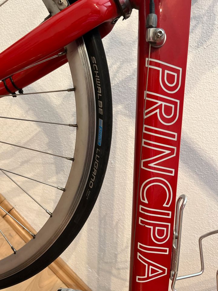 Rennrad Principia 26“ in Donauwörth