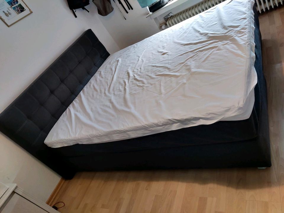 Boxspringbett mit Überlänge in Neuwied