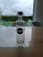 Soulbottle Trinkflasche Baden-Württemberg - Göggingen Vorschau