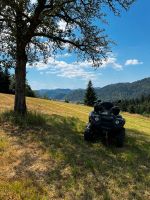 Quad ATV, HiSun 700 ATV(kein Honda, Yamaha, CFMoto,TGB) Baden-Württemberg - Zell am Harmersbach Vorschau