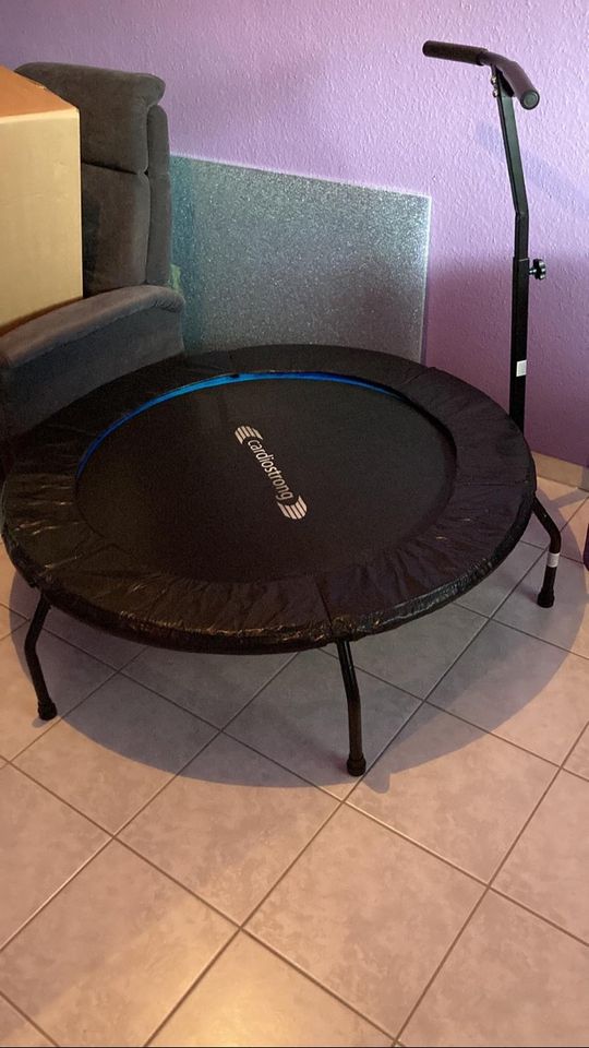 Fitness Trampolin mit Stange in Stutensee