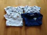 4 Baby Bodys, Kurzarm Bodys, Gr. 74 Nordrhein-Westfalen - Paderborn Vorschau