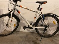 Stevens Mountainbike weiß Rahmen 19 Zoll Hamburg-Nord - Hamburg Eppendorf Vorschau