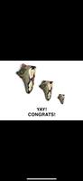 Jordan 6 Travis Olive Deadstock US8.5 Berlin - Reinickendorf Vorschau