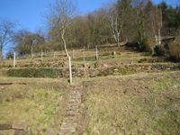 Schönes großes Baugrundstück „Lindtalstraße“ Baden-Württemberg - Freudenberg Vorschau