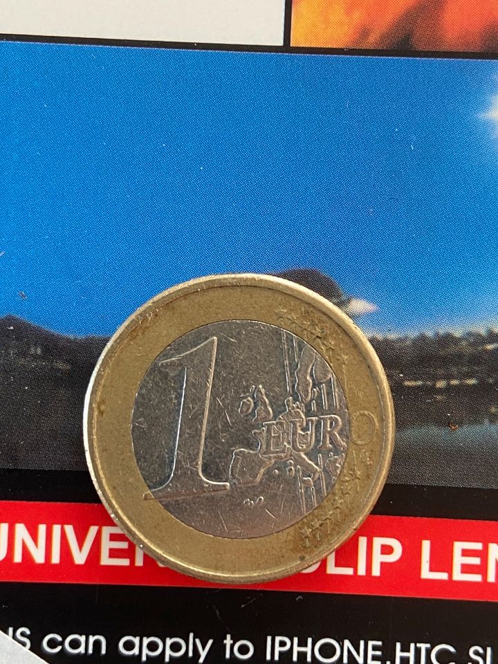 1 Euro Singschwäne 2000 in Adelshofen (Oberbayern)