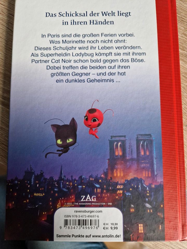 Miraculous: Ladybug und Cat Noir - Das Erstlesebuch zum Film in Reinsfeld