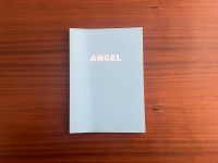 Angel Fotobuch von Paolo Raeli // indie analog zine magazine Dortmund - Innenstadt-Ost Vorschau