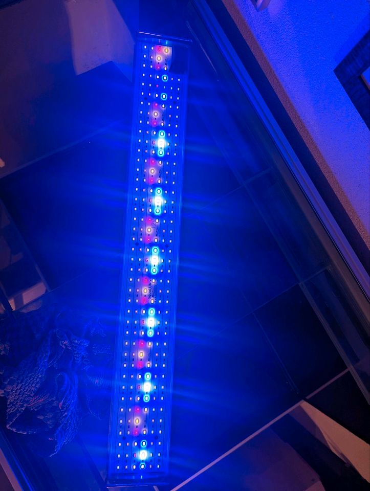 Aquarium - aqualumix LED 74cm Farbgebung  Amazon Grow in Eschelbronn