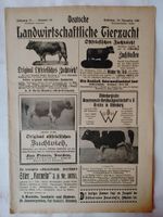 Über 100 jährige Zeitung Zeitschrift Tierzucht von 1921 Baden-Württemberg - Oberhausen-Rheinhausen Vorschau