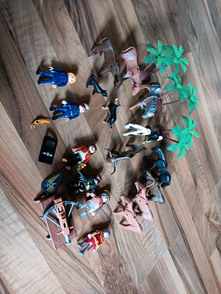 Playmobil Figuren in Hückelhoven