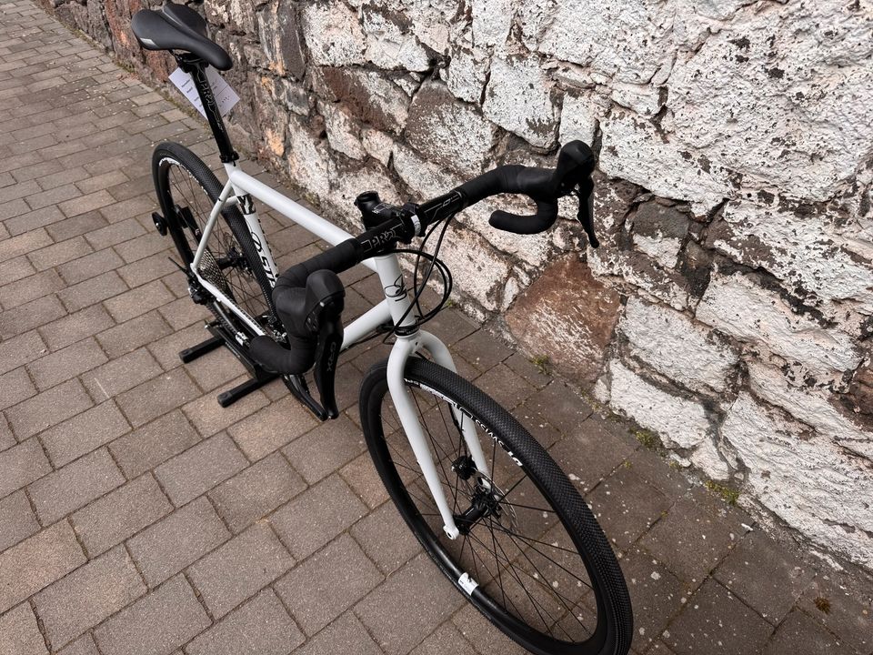 Pure Steel EXPRO 600 Gravelbike, Gr. M_54, hellgrau-matt in Staufenberg