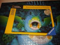 1000 Teile Puzzle Ravensburger - Süßlippenfisch - auch Tausch Dortmund - Mitte Vorschau