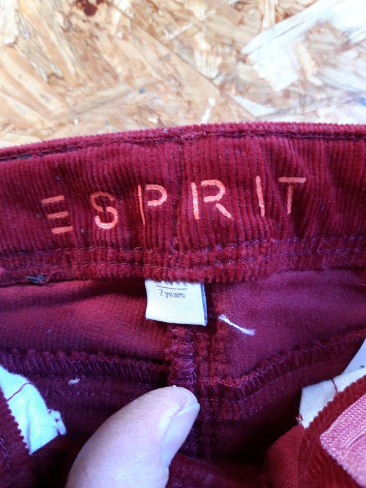 Cordhose, neu, Größe 92, Esprit, neu in Lohra