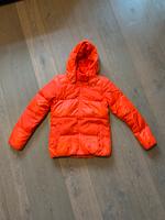 Adidas Damen Daunenjacke Jacke Winterjacke rot 36 S Bayern - Nördlingen Vorschau