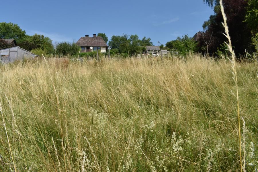 Steigende Mieten & Nebenkosten? Nein, danke! Ihr Bungalow mit hohem Komfort in Moringen OT Nienhagen in Moringen