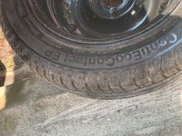 Reifen mit Felgen 175/65 R 14 82T Sachsen - Roßwein Vorschau