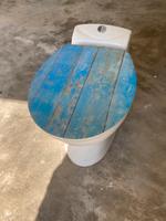 WC mit Häcksler und Pumpe Baden-Württemberg - Offenburg Vorschau