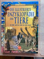 Illustrierte Tierenzyklopädie für Kinder, Spiel und Wissen Niedersachsen - Schneverdingen Vorschau