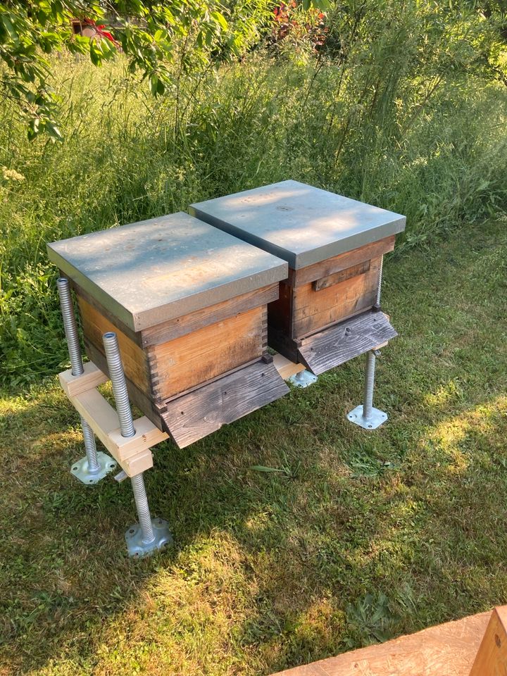 Beutenbock Bienen Untergestell mit Gerüstfüßen 800mm in Hartha