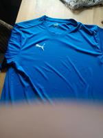 Puma Shirt Hessen - Groß-Gerau Vorschau