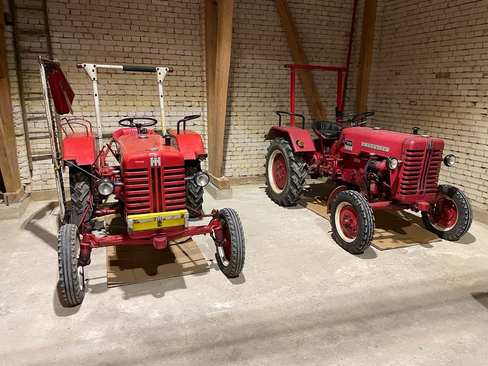 Oldtimer Trecker mieten Ihc,Hanomag,Deutz,Fahr in Obernholz