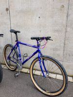 Giant Terrago CroMoly Retro MTB XC Klassiker Gravel Kult 26er 26“ Bayern - Coburg Vorschau