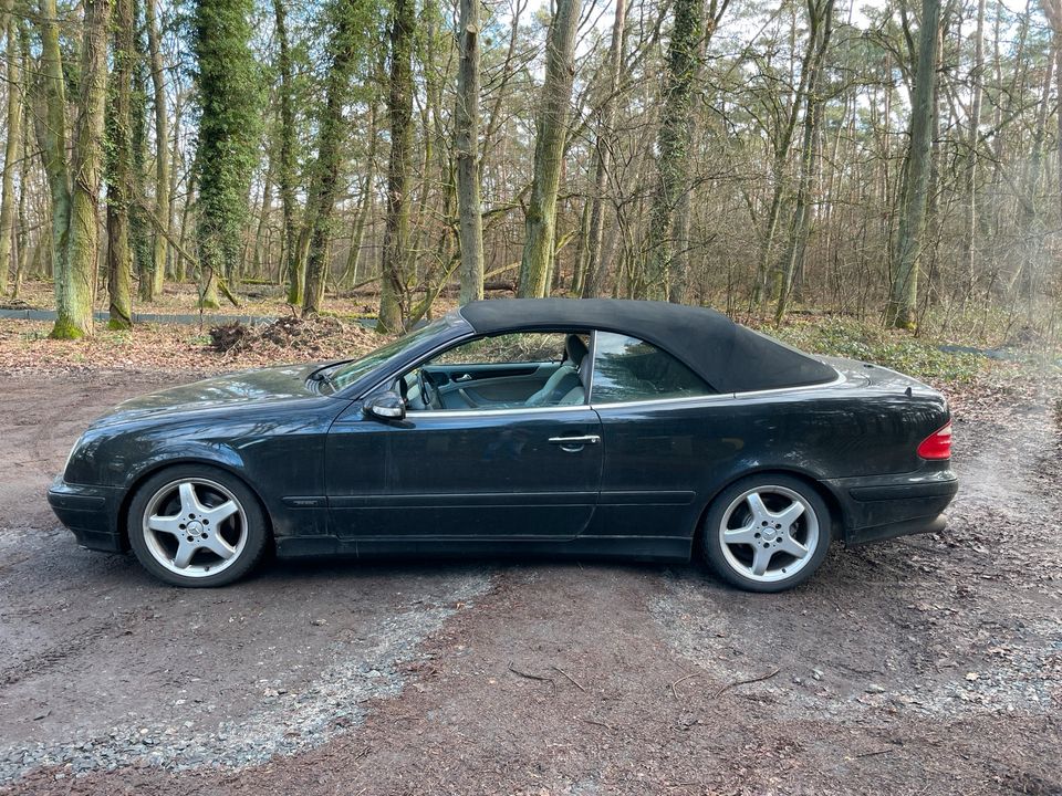 Mercedes Benz CLK Cabrio 230Kompressor LPG in Böblingen