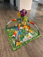 Spielebogen - Krabbeldecke - Baby - Spielzeug - Fisher Price Rheinland-Pfalz - Bad Kreuznach Vorschau