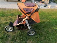 Joggster Kinderwagen Bayern - Greding Vorschau