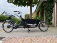 E-Lastenrad Cargo Bike City Mountain + Viele Extras NP: 4.800€ Nordrhein-Westfalen - Kevelaer Vorschau