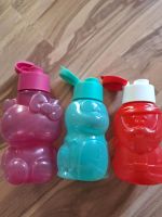 Trinkflasche Tupperware Hello Kitty Krokodil Weihnachten Sachsen - Wilsdruff Vorschau