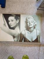 Leinwand Deko trödel Audrey Hepburn Marilyn Monroe 50er 60iger Nordrhein-Westfalen - Salzkotten Vorschau