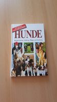 Hunde - Kennen lernen, Haltung, Pflege und Züchtung Schleswig-Holstein - Gülzow Vorschau