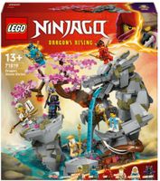 LEGO® Ninjago Dragon Stone Shrine Drachenstein Tempel Set 71819 Baden-Württemberg - Karlsruhe Vorschau